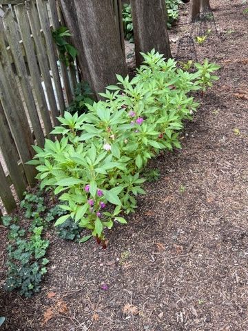 425 S Quincy Avenue, Hinsdale, IL 60521