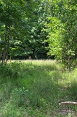 199 Cherry Hill None, Mill Spring, NC 28756