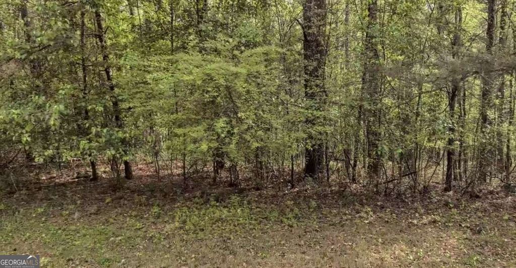 4706 Amber Falls, Mcdonough, GA 30252 — photo 2
