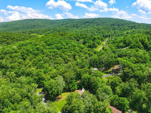 1008 OREGON HOLLOW RD, Linden, VA 22642