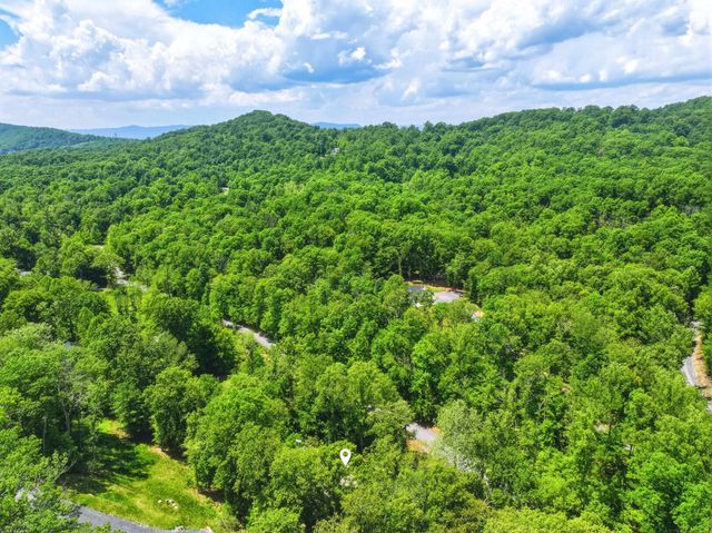 1008 OREGON HOLLOW RD, Linden, VA 22642