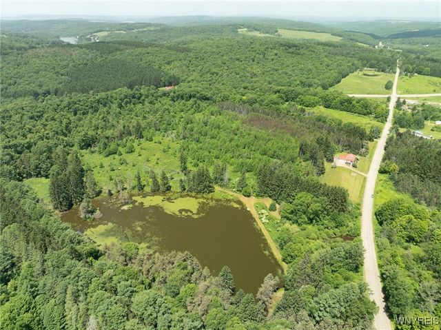 7961 Irish Hill Road, Ellicottville, NY 14731