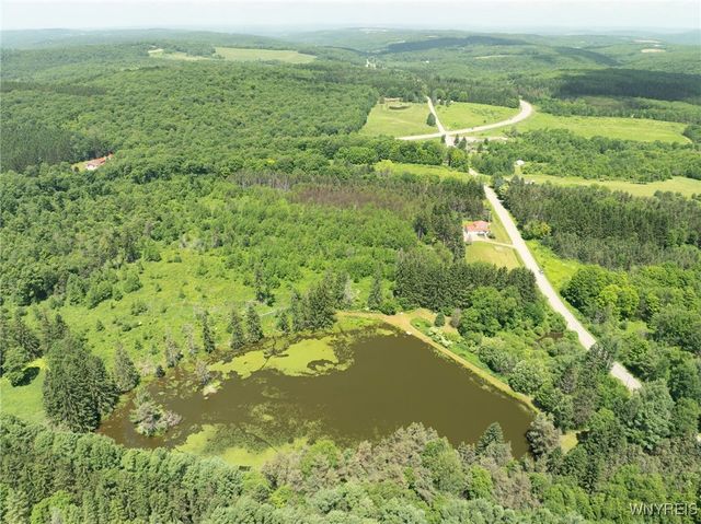 7961 Irish Hill Road, Ellicottville, NY 14731