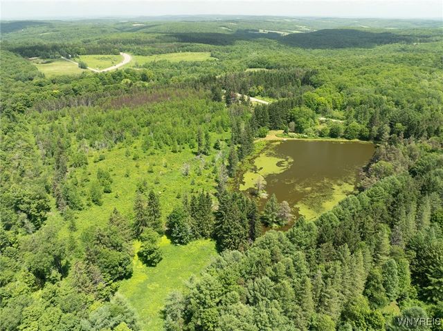 7961 Irish Hill Road, Ellicottville, NY 14731