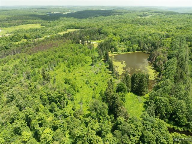 7961 Irish Hill Road, Ellicottville, NY 14731