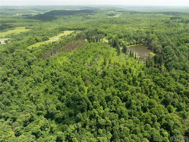 7961 Irish Hill Road, Ellicottville, NY 14731