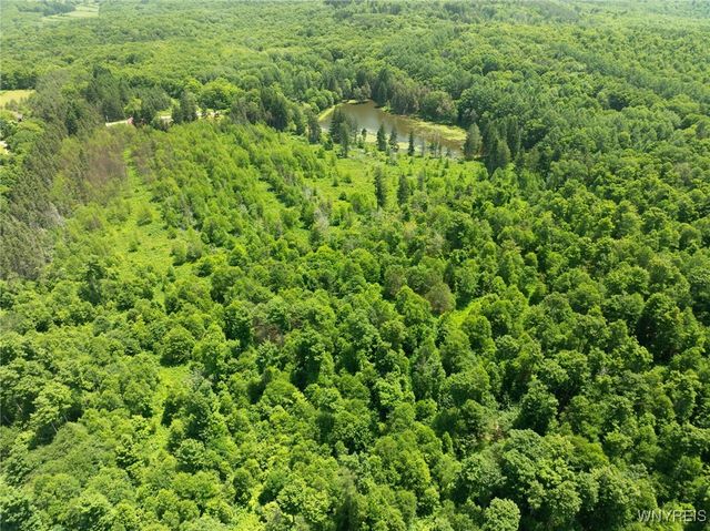 7961 Irish Hill Road, Ellicottville, NY 14731