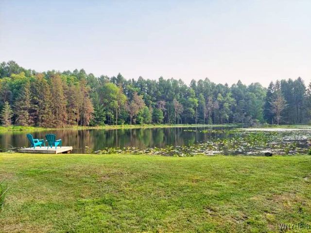 7961 Irish Hill Road, Ellicottville, NY 14731