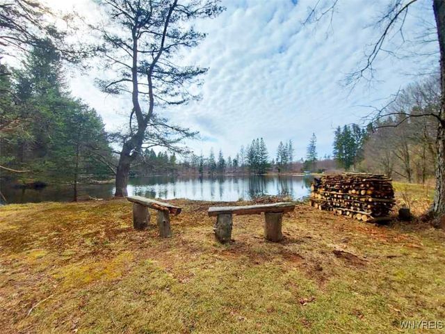 7961 Irish Hill Road, Ellicottville, NY 14731