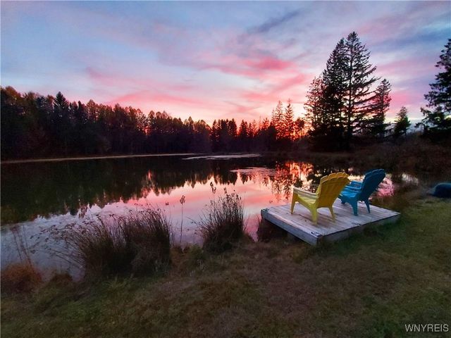 7961 Irish Hill Road, Ellicottville, NY 14731