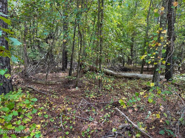 Lot 7 Equestrian Lane, Carthage, NC 28327