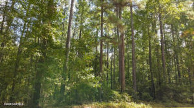 Lot 7 Equestrian Lane, Carthage, NC 28327