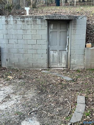 1828 Rayburn Avenue, Guntersville, AL 35976