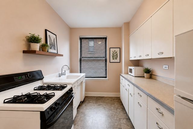 1755 E 55th Street 303, Chicago, IL 60615
