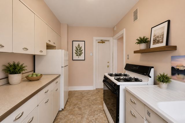1755 E 55th Street 303, Chicago, IL 60615