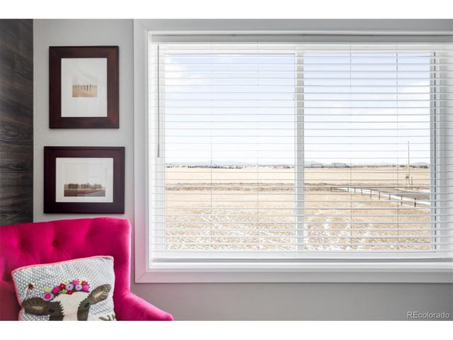 3046 Cottonwood Ave, Parker, CO 80134