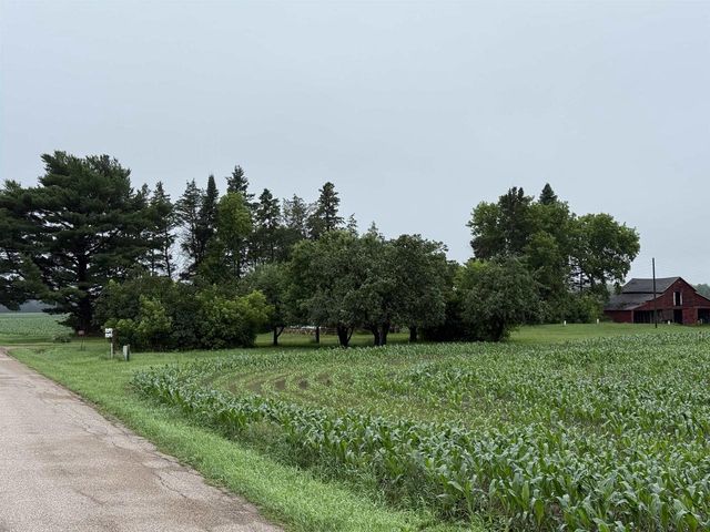 E1384 WOLF RIVER ROAD, Iola, WI 54945