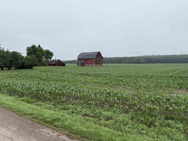 E1384 WOLF RIVER ROAD, Iola, WI 54945