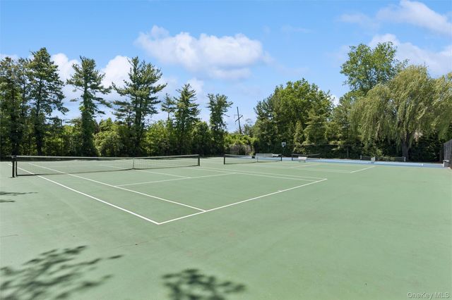 227 Ibis Court, Manhasset, NY 11030