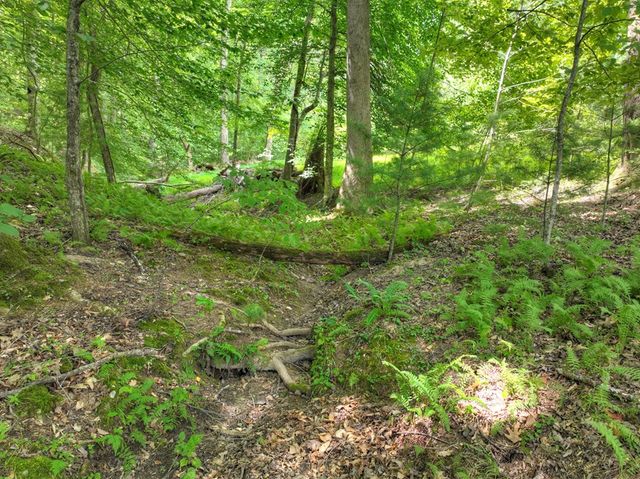 Lot 4 Greystone Trace, Ellijay, GA 30536