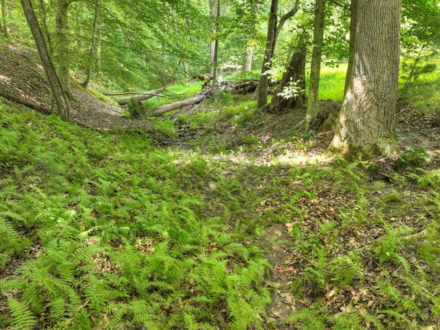 Lot 4 Greystone Trace, Ellijay, GA 30536