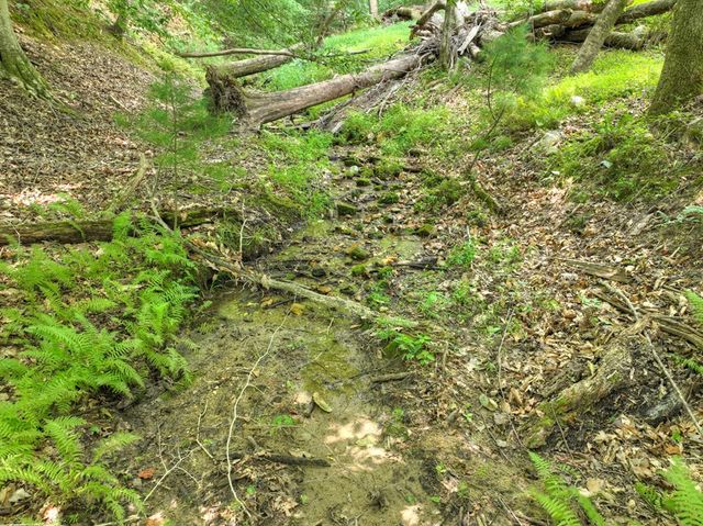 Lot 4 Greystone Trace, Ellijay, GA 30536