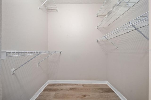 9450 LEATHERWOOD AVENUE, Tampa, FL 33647