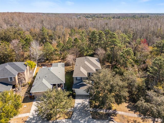 9450 LEATHERWOOD AVENUE, Tampa, FL 33647