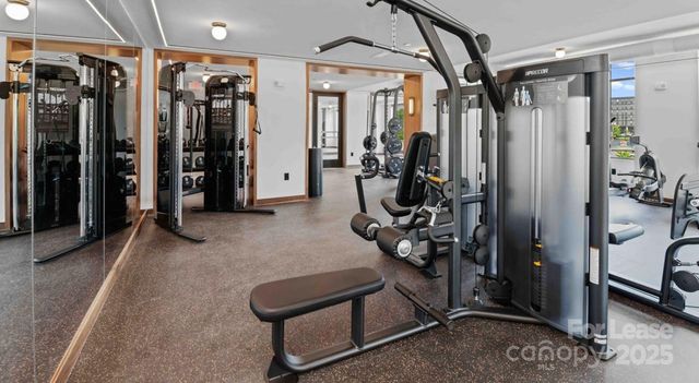 300 E 36th Street C1, Charlotte, NC 28206