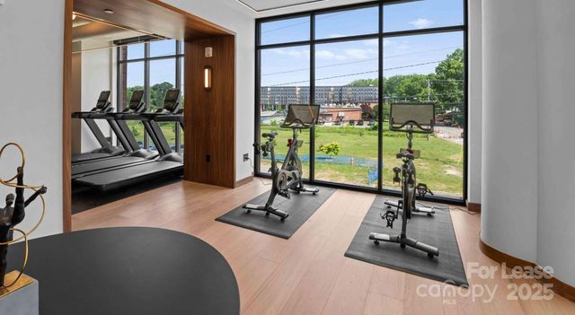 300 E 36th Street C1, Charlotte, NC 28206