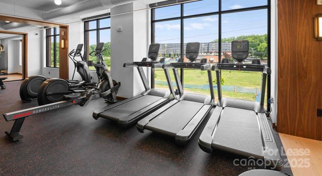 300 E 36th Street C1, Charlotte, NC 28206