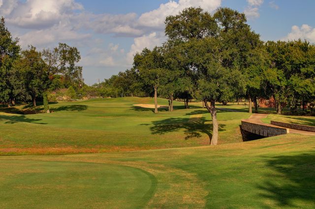 21039 Shady Oak Court, Whitney, TX 76692