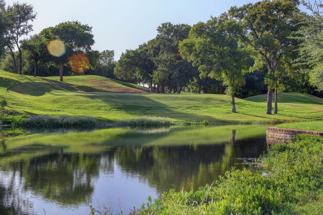 21039 Shady Oak Court, Whitney, TX 76692