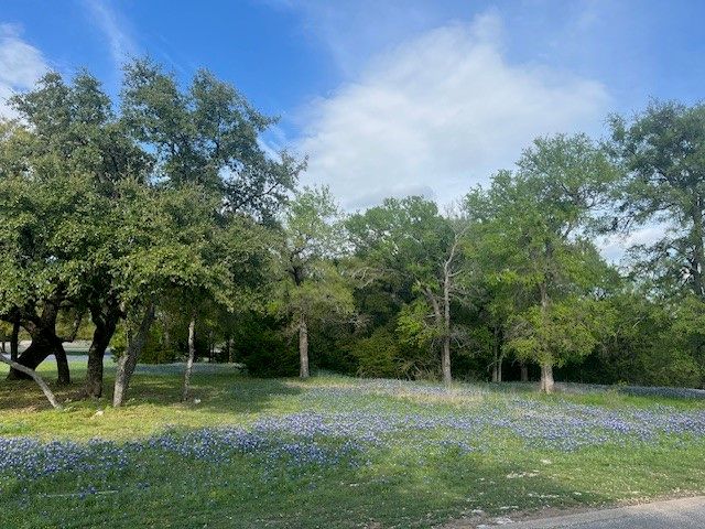 21039 Shady Oak Court, Whitney, TX 76692