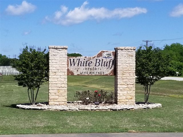 21039 Shady Oak Court, Whitney, TX 76692