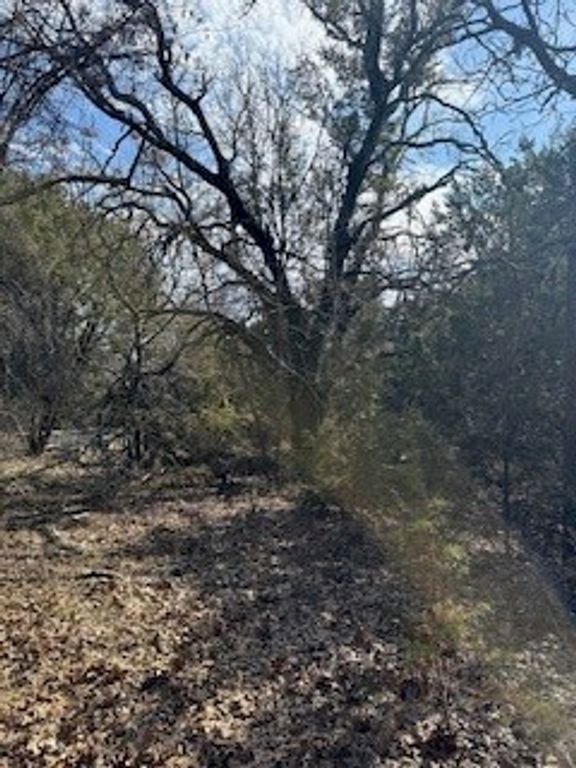 21039 Shady Oak Court, Whitney, TX 76692