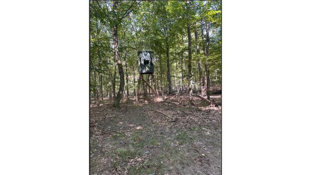 4390 22 Mile Road Nw, Tyrone Twp, MI 49330