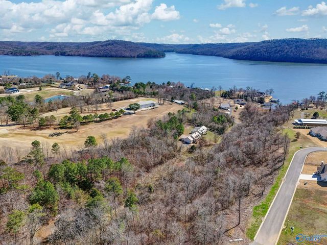 80 Earl Caldwell Drive, Guntersville, AL 35976