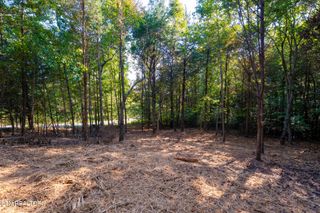 320 Valley Drive, Loudon, TN 37774