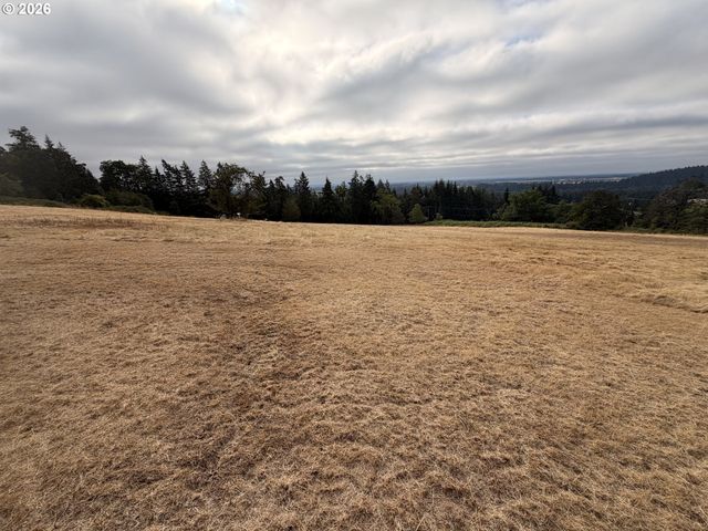 Sw Kramien Rd, Newberg, OR 97132