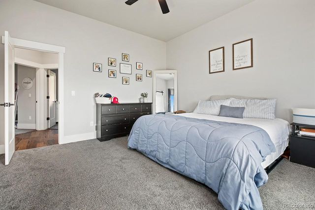 894 Turkey Roost Drive, Livermore, CO 80536