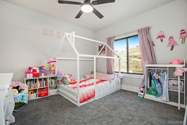 894 Turkey Roost Drive, Livermore, CO 80536