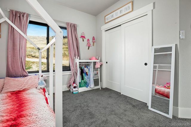 894 Turkey Roost Drive, Livermore, CO 80536