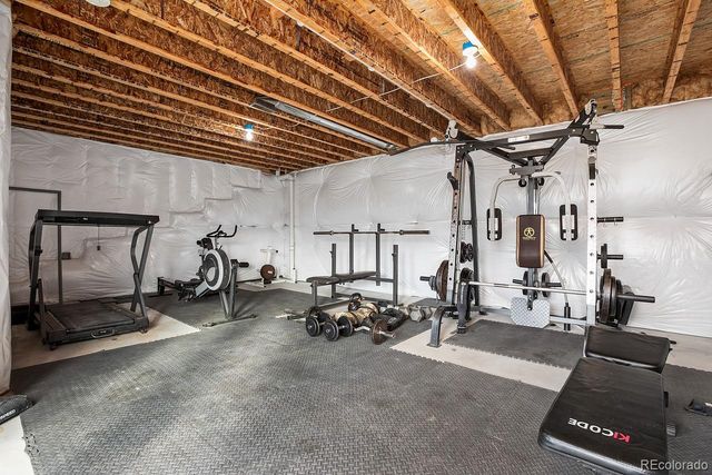 894 Turkey Roost Drive, Livermore, CO 80536