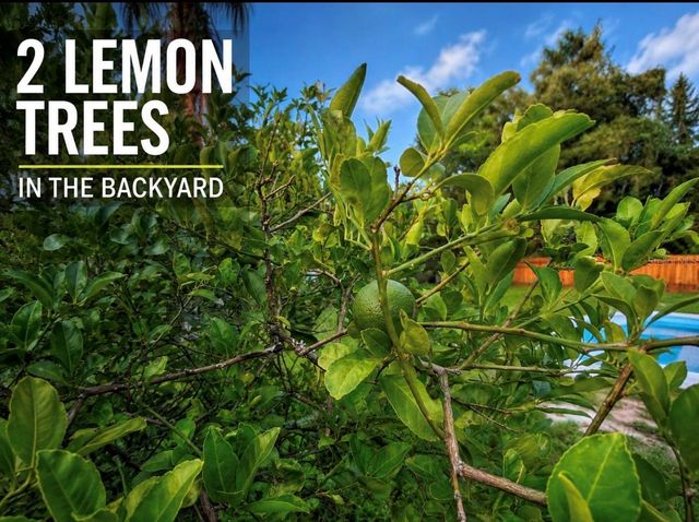 3101 FLOWERTREE ROAD, Belle Isle, FL 32812