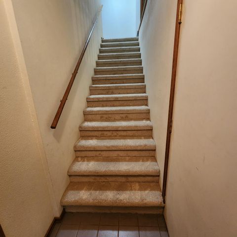 1107 W Tracy Street, Springfield, MO 65807