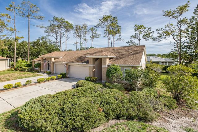 9519 SCENIC PINE COURT, New Port Richey, FL 34655