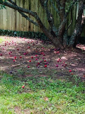 7193 Laurel Ridge, Greenwood, LA 71033