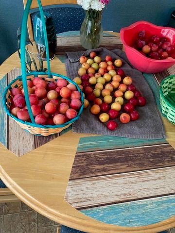 7193 Laurel Ridge, Greenwood, LA 71033