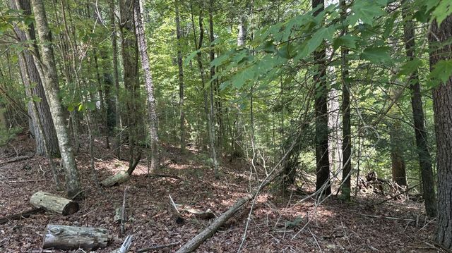Lot 3662 Hannah Court, Ellijay, GA 30540